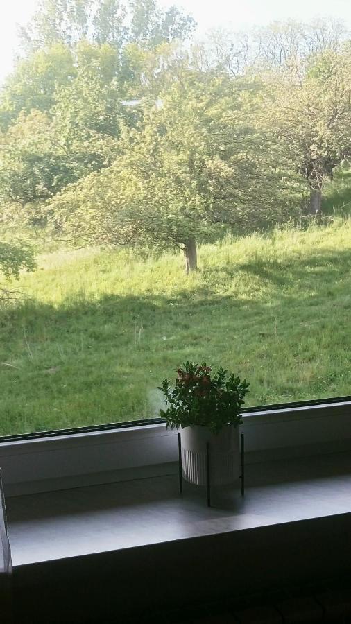 Przylesie Lägenhet Uniejow Exteriör bild